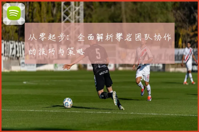从零起步：全面解析攀岩团队协作的技巧与策略