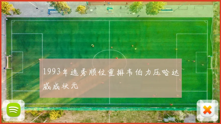 1993年选秀顺位重排韦伯力压哈达威成状元